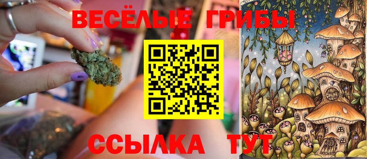 Галлюциногенные грибы ЛСД Керчь