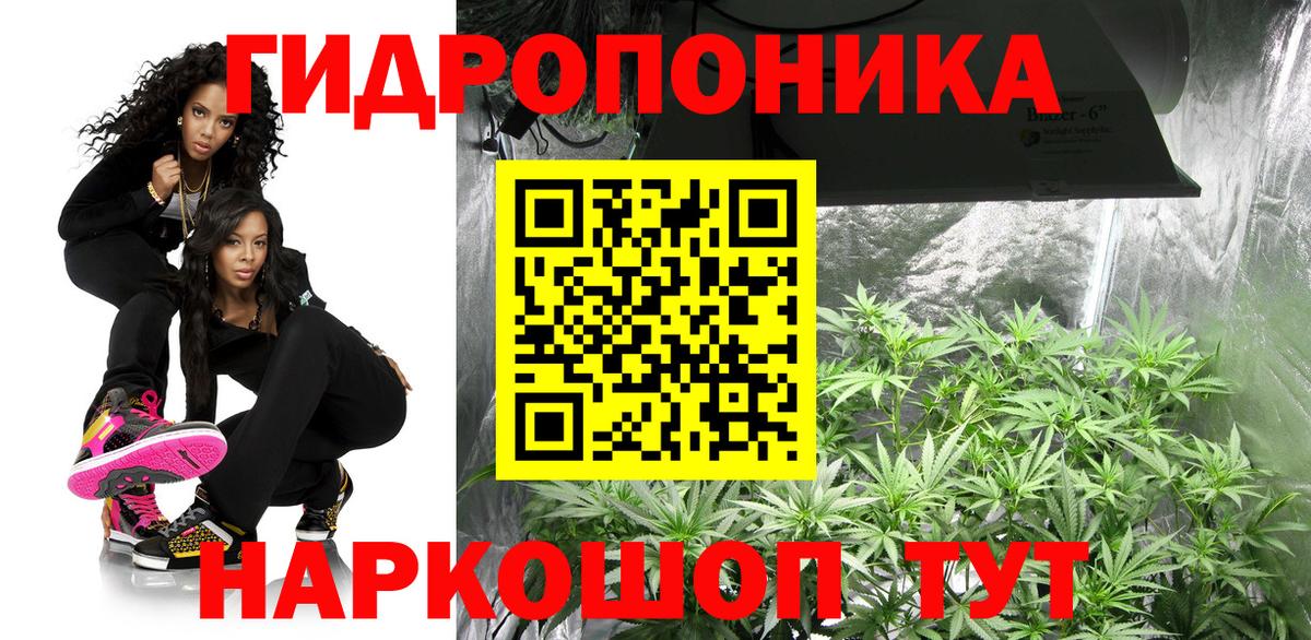 Канабис Bruce Banner Керчь